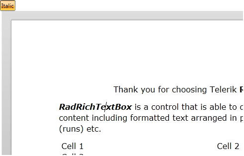 Rad Rich Text Box Features Commands 02