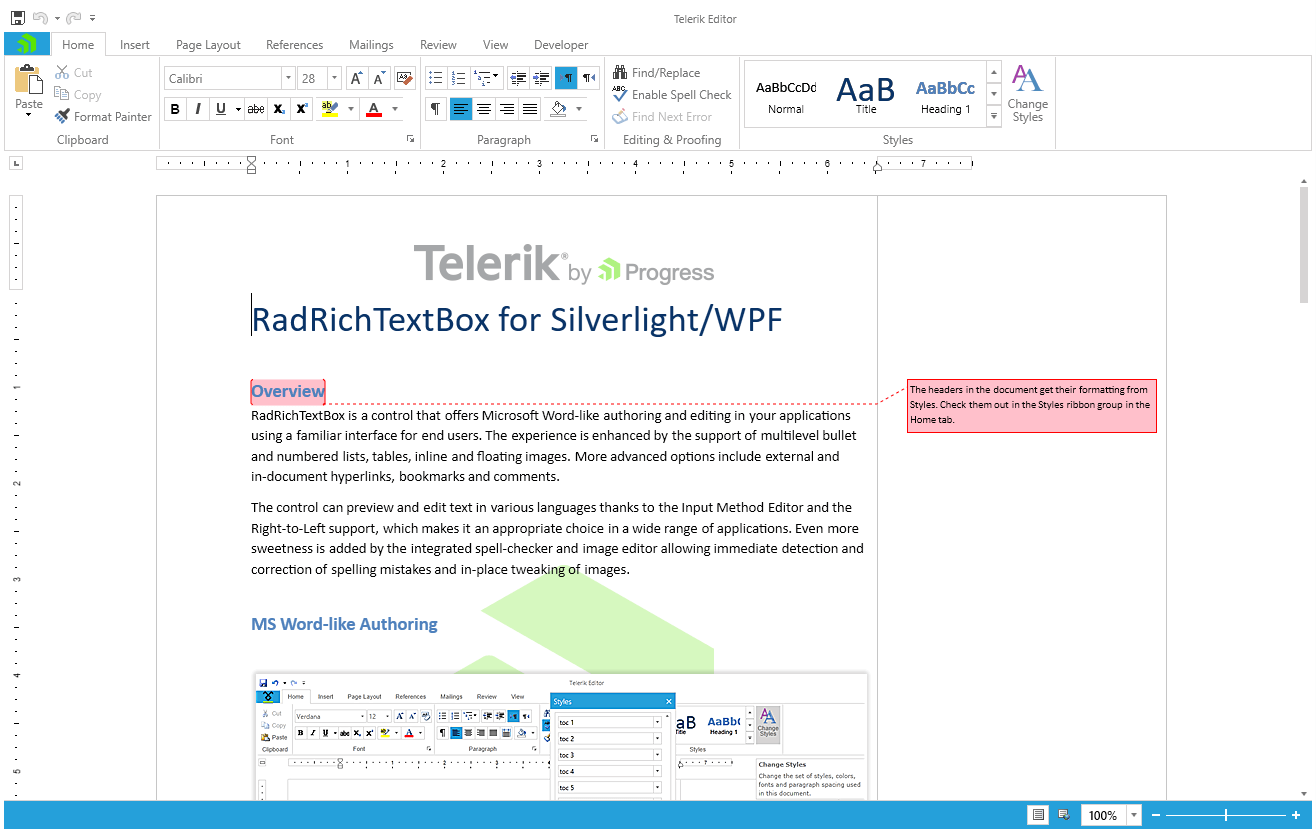 Telerik WPF RadRichTextBox with Windows 8 Theme