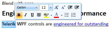 WPF RadRichTextBox Selection Mini Tool Bar