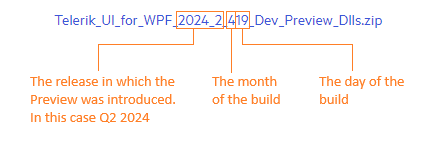 WPF Internal Build Version Number Breakdown