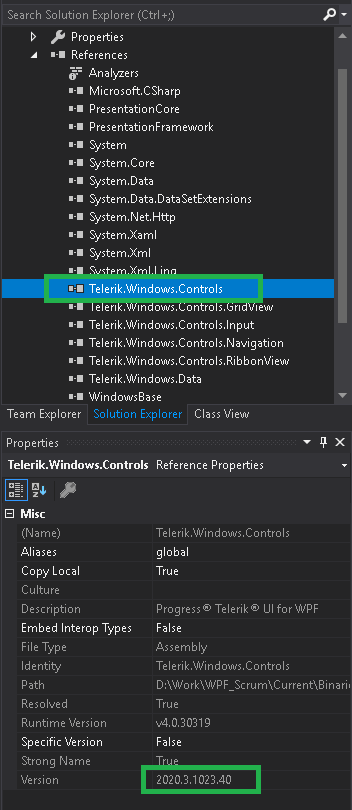 WPF Check Telerik Assemblies Version in Properties Pane