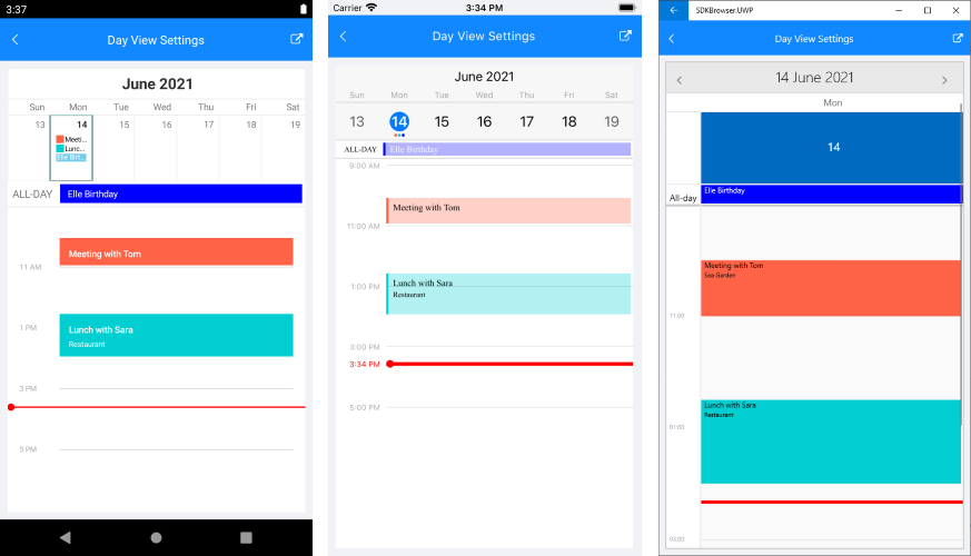 Xamarin Calendar Documentation Day View Telerik UI for Xamarin