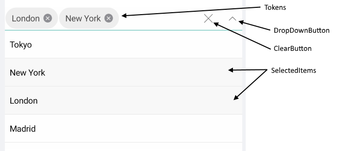 DropDown Visual Structure