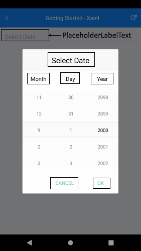 Localizatio Date Picker