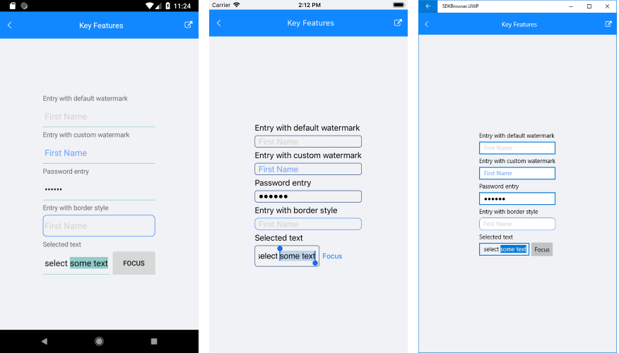 Entry Key Features Example