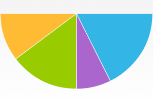 Semi Circle Pie Chart