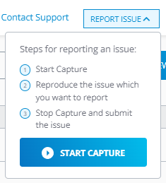 Report Issue button