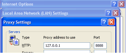 IE Proxy Settings