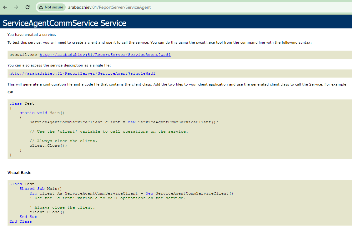 The web page that opens when you paste the ServiceAgent baseAddress in the browser.