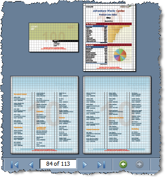 An image of a rendered Telerik ReportBook whose reports have different page settings