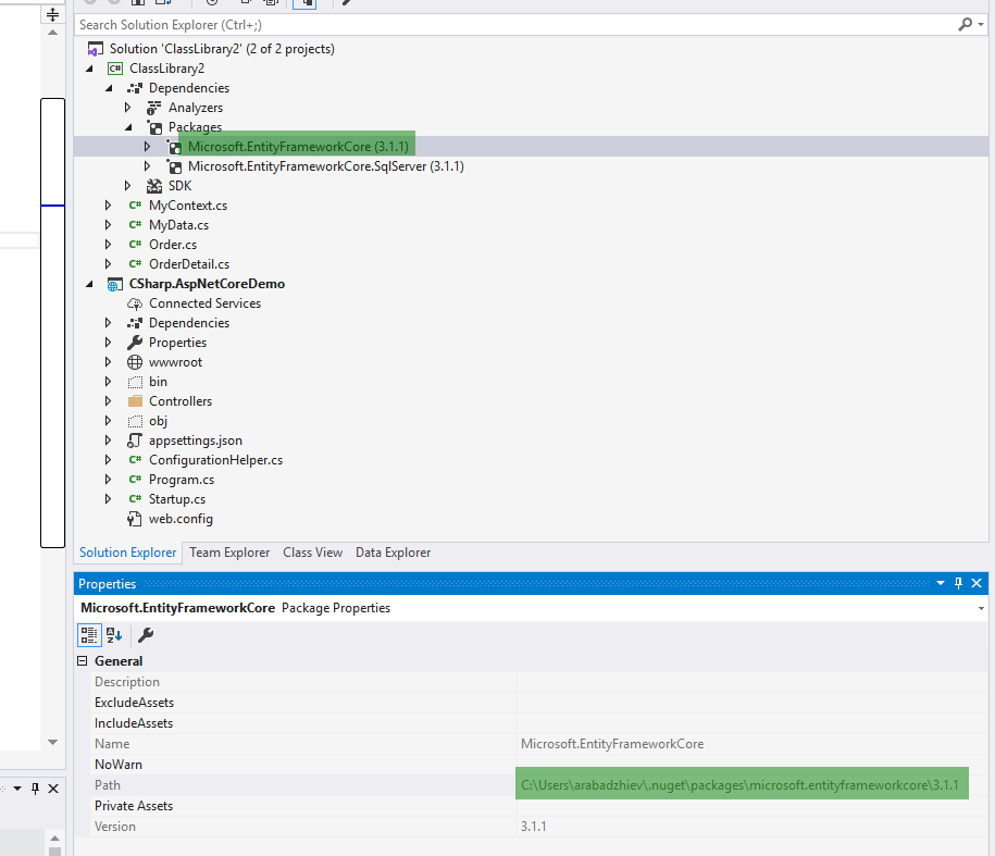Assembly Microsoft.EntityFrameworkCore properties in VS 2019 with its path