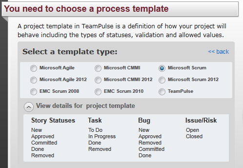 team foundation server process templates